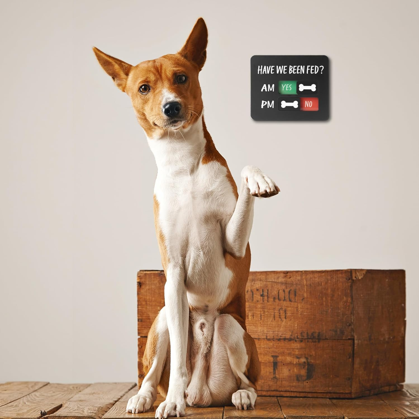 Magnetic Acrylic Dog Feeding Reminder