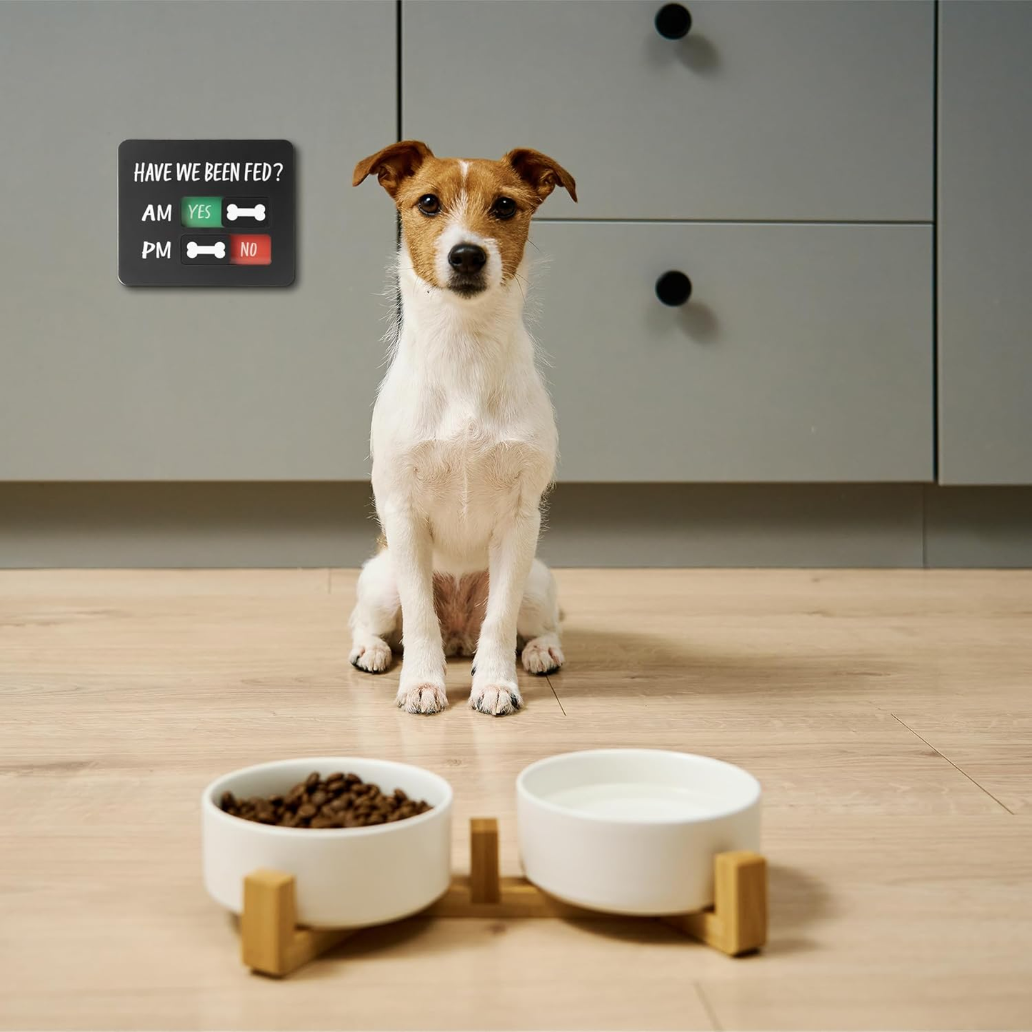 Magnetic Acrylic Dog Feeding Reminder