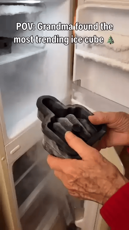 Middle Finger Ice Cube Mold – Funny Whiskey Gag Gift